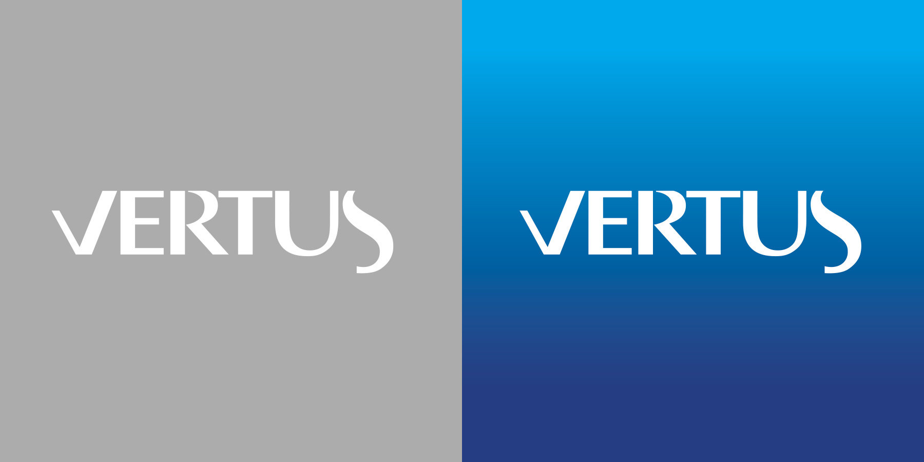 Графичен дизайн на търговска марка Vertus