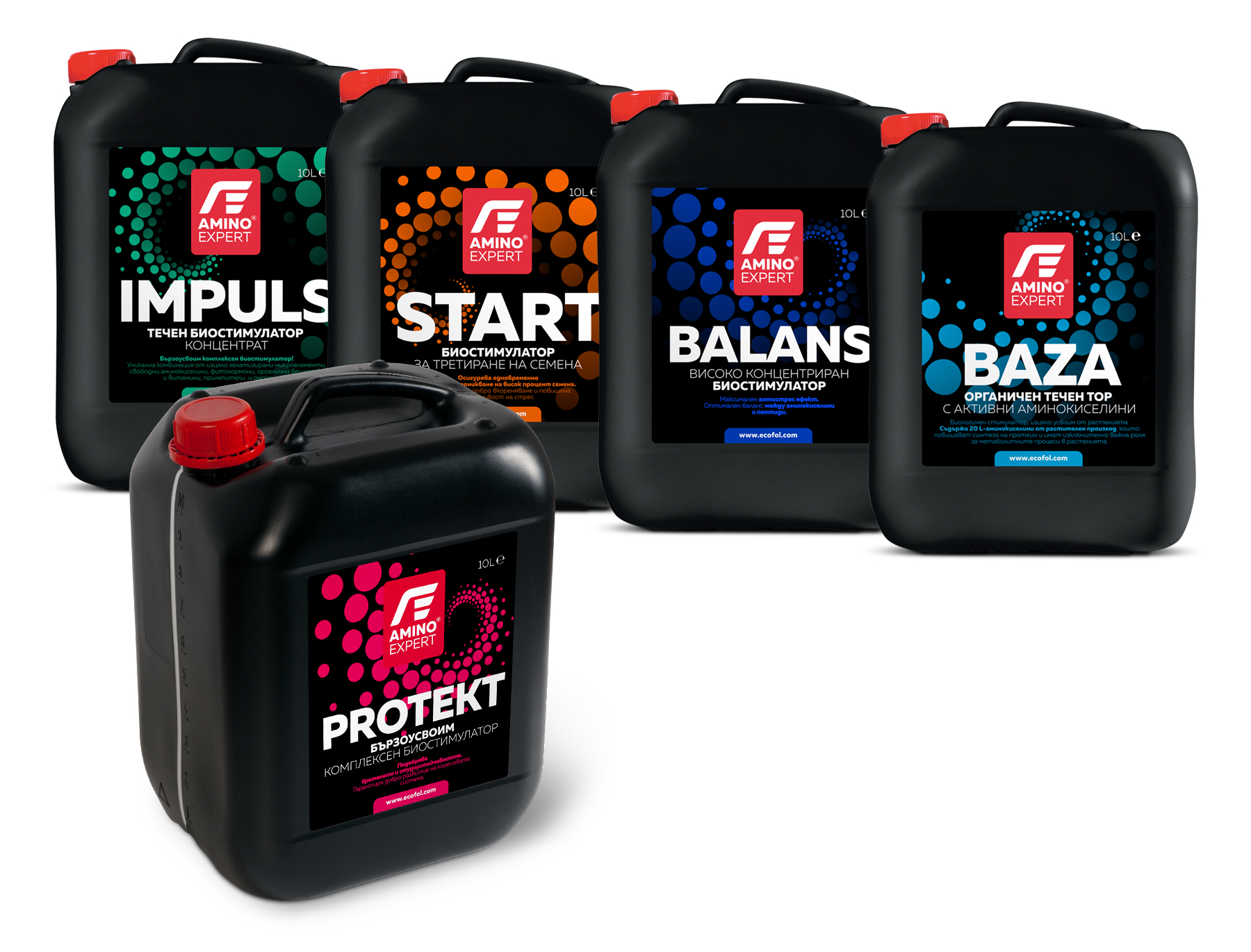 Impuls. Balanse. Start. Baza. Protekt